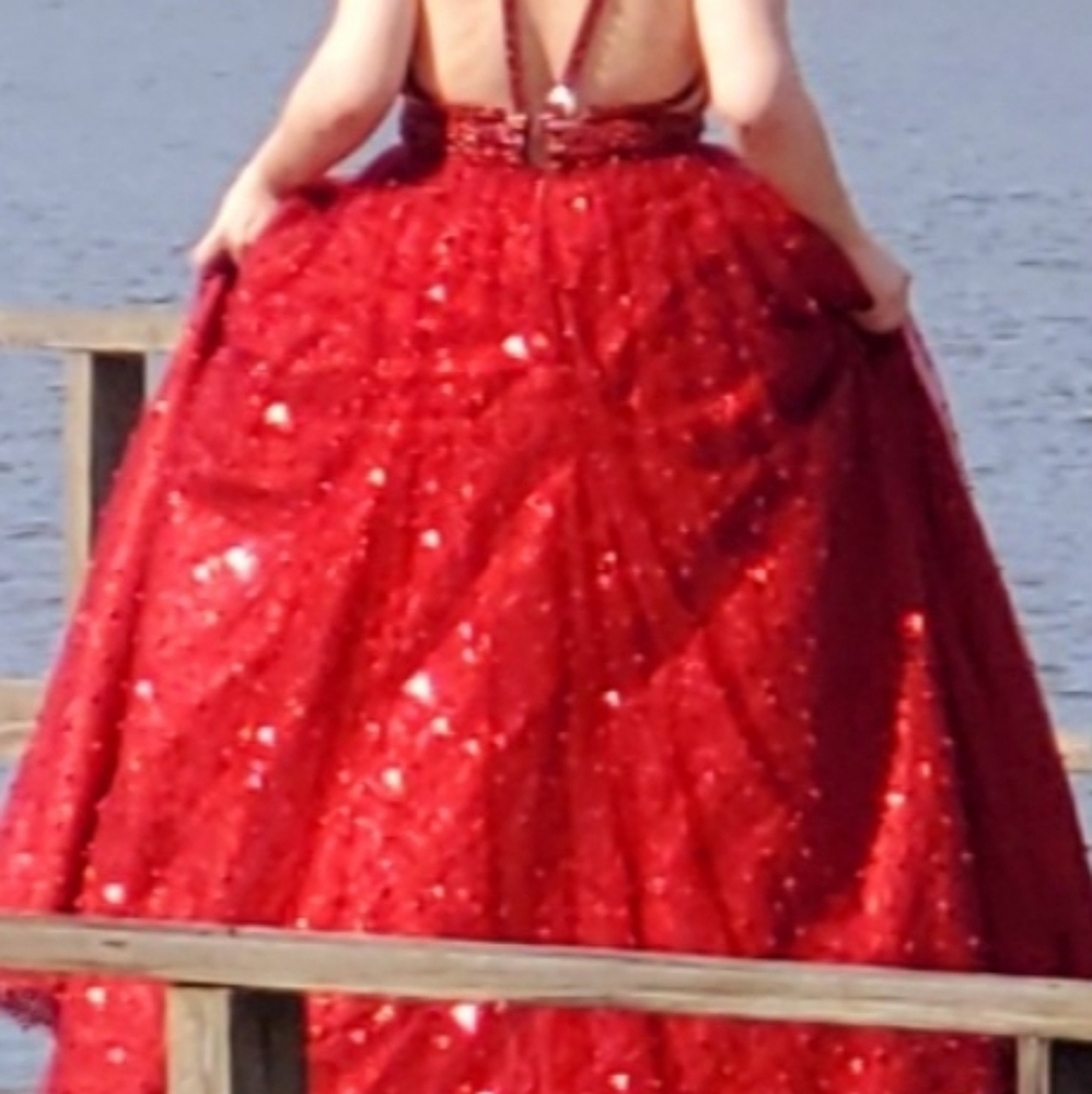 Gorgeous Ballgown/Prom. All about the details.